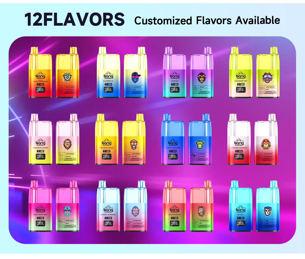 refillable disposable