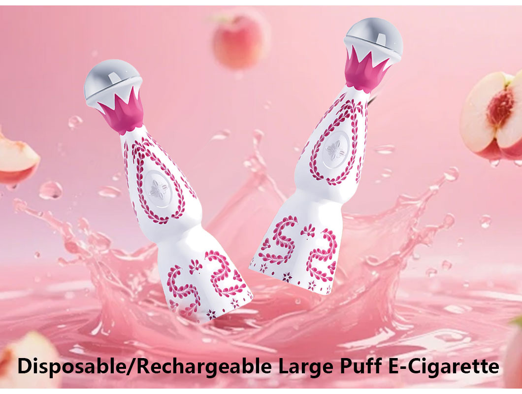 5vape-disposable-rechargeable.jpg 5vape desechable recargable