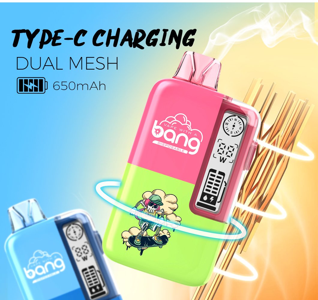 6best disposable brands